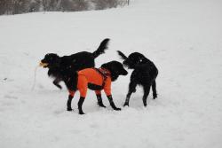 雪遊び