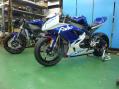 20130207a.jpg