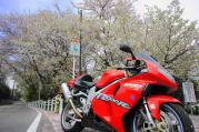 DSC04404 (1)