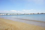 DSC04268.jpg