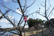DSC04275.jpg