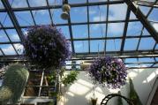 DSC04306.jpg
