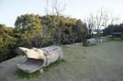 DSC04346.jpg