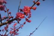 DSC04355.jpg
