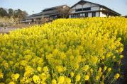 DSC04363.jpg