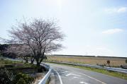 DSC04376.jpg