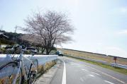 DSC04379.jpg