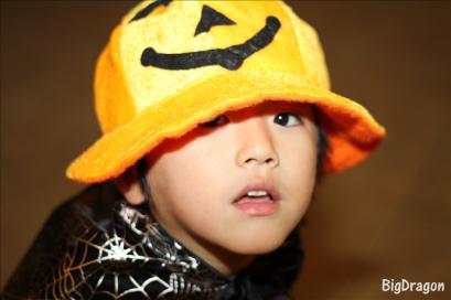 IMG_0086_s.jpg