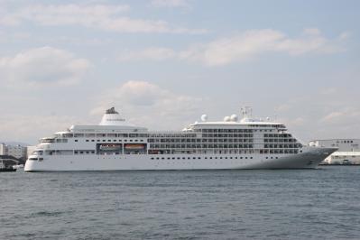 Silver Shadow-001