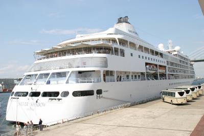 Silver Shadow-006