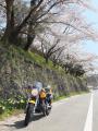 バイク通勤2