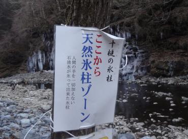 パー天然