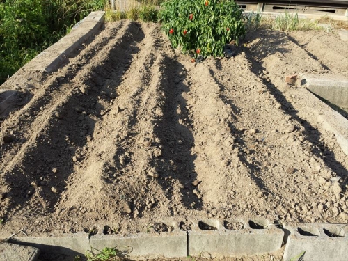 20140921_155342.jpg
