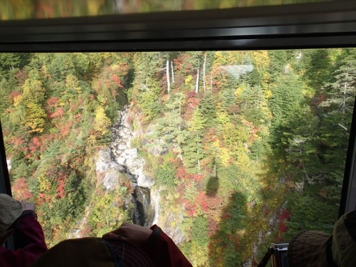 20141004_020.jpg