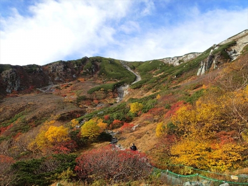 20141004_060.jpg