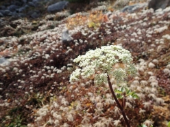 20141004_065.jpg