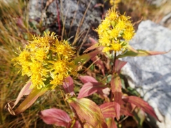 20141004_066.jpg