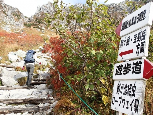 20141004_074.jpg