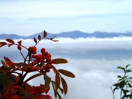 20141004_196.jpg