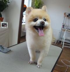 6_convert_20111107095655.jpg