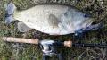 fc2_2014-02-03_16-40-01-473.jpg