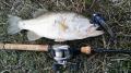 fc2_2014-02-03_16-41-00-360.jpg