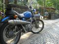IMG_7054sl90.jpg