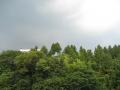 IMG_7064t90.jpg