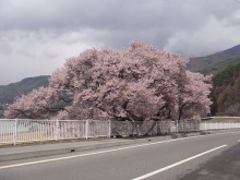 ヒカルのブログ