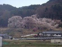 ヒカルのブログ