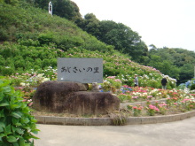 $ヒカルのブログ