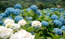 $ヒカルのブログ