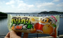 $ヒカルのブログ