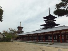 ヒカルのブログ-薬師寺2