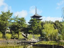 ヒカルのブログ-興福寺1