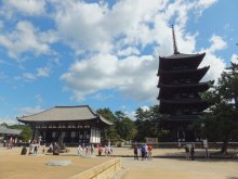 ヒカルのブログ-興福寺2