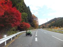 $ヒカルのブログ