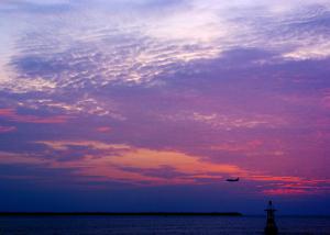 _DSC2340.jpg