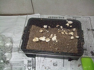 DSCF8563.jpg