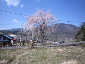 IMG_0280.jpg