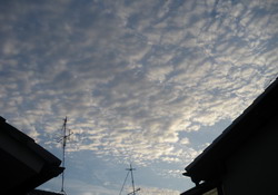 IMGP4081.jpg