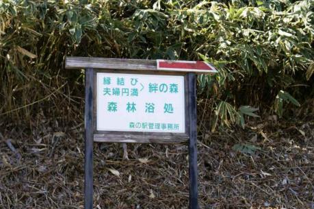 DSC04535.jpg