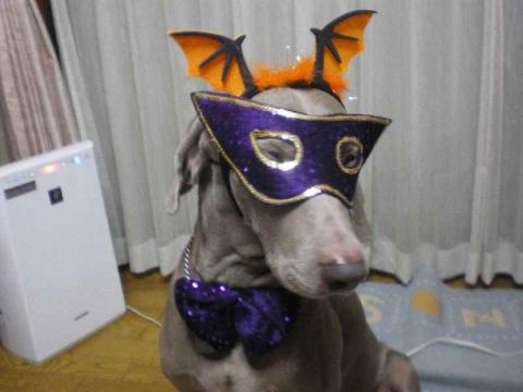 10_20111009064937.jpg