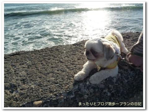 ブラン(2)