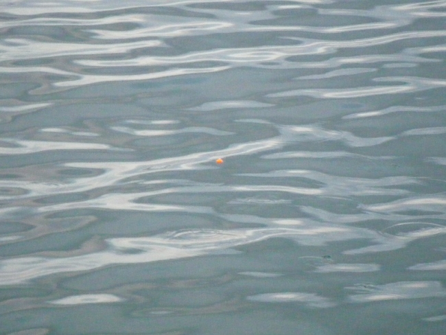 DSCF6961.jpg