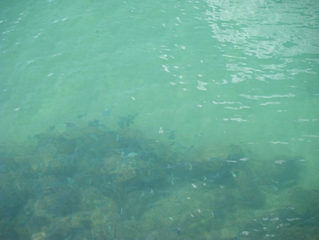 DSCF6963.jpg
