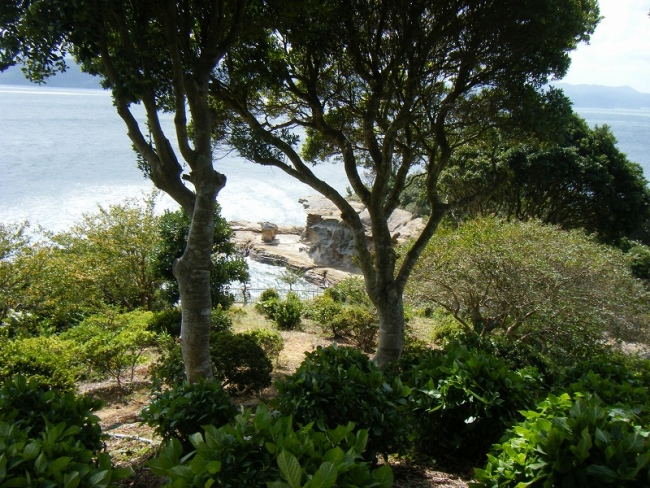 DSCF6967.jpg