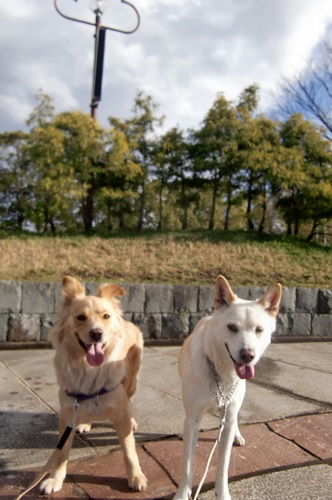 総合公園2