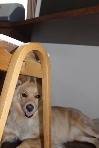 狭い1
