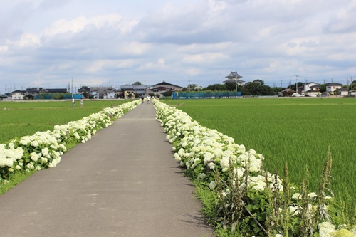 騎西城